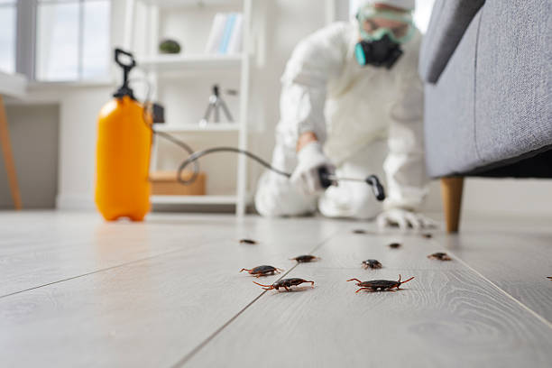 Commercial Kitchen Cockroach Control in Shokan